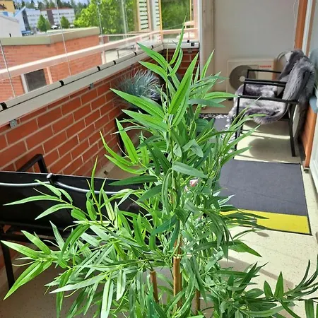 Saunallinen Yksioe * 皮耶克赛迈基