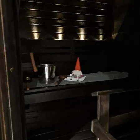 Saunallinen Yksioe *