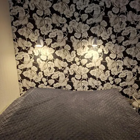 Saunallinen Yksioe Apartment *