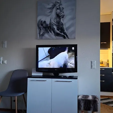 Apartamento Saunallinen Yksioe *