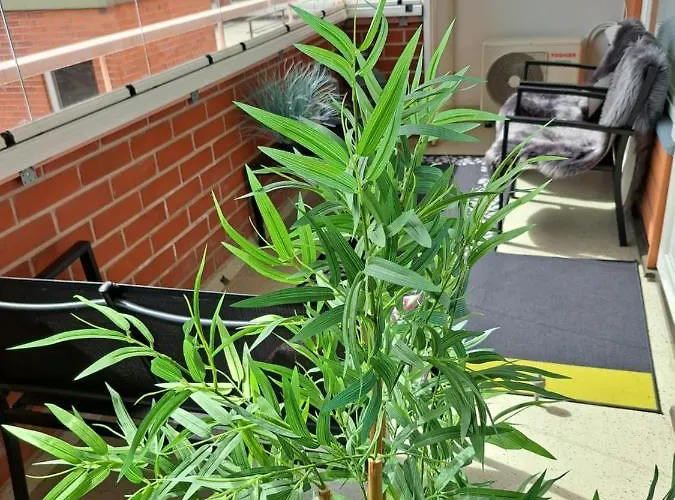 Saunallinen Yksioe * Pieksamaki