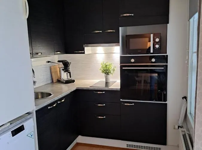 Saunallinen Yksioe Apartamento *