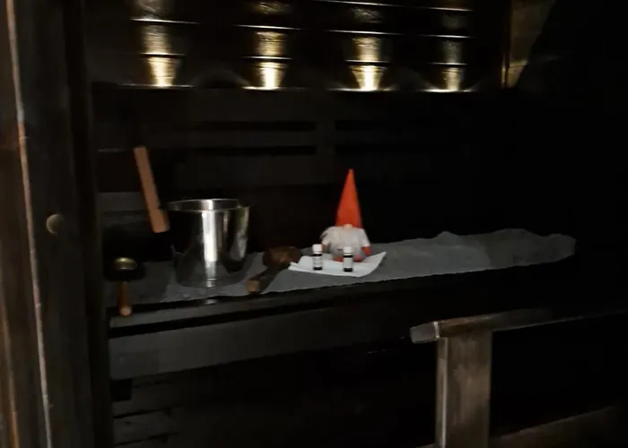 Saunallinen Yksioe *