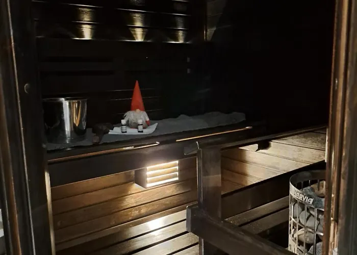 Saunallinen Yksioe 皮耶克赛迈基