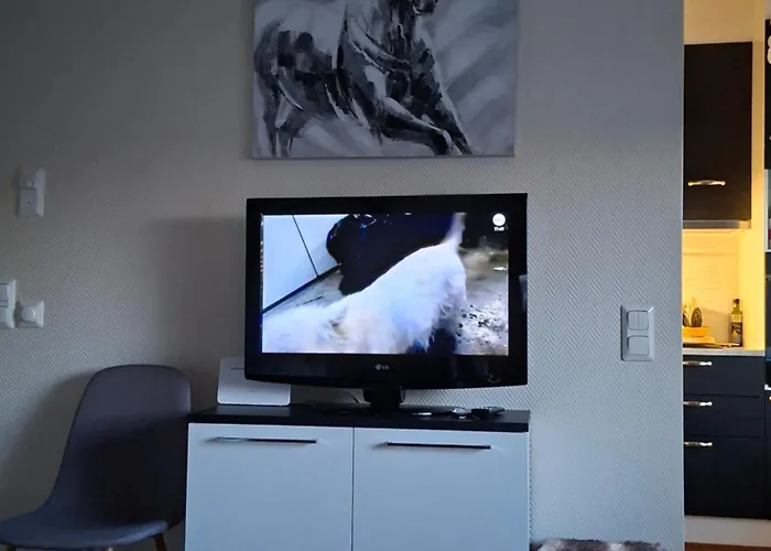 Apartamento Saunallinen Yksioe *