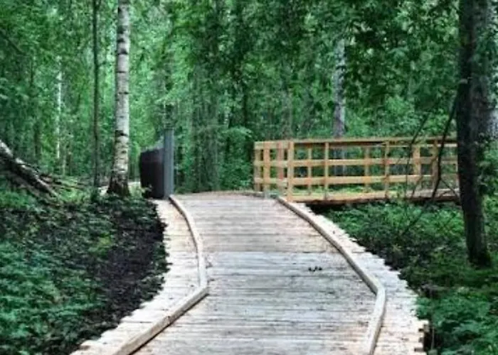 Saunallinen Yksioe 公寓 皮耶克赛迈基